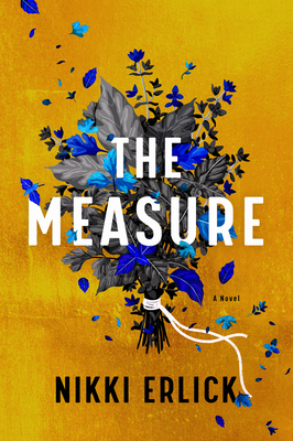 the measure a novel book review