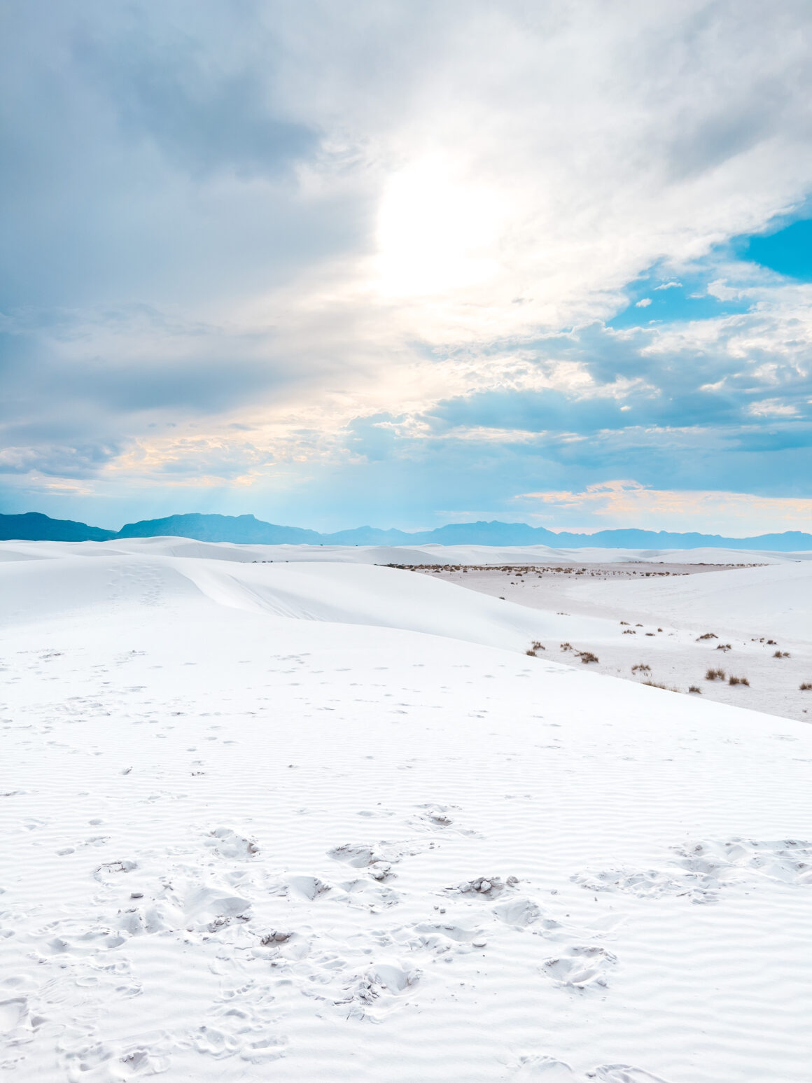 What to do in Las Cruces: Sand Sled at White Sands National Park, New Mexico